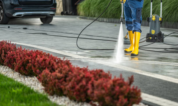 Best Pressure Washing Company Near Me  in Brownsville, OR